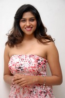 Lakshmi Nair Photos